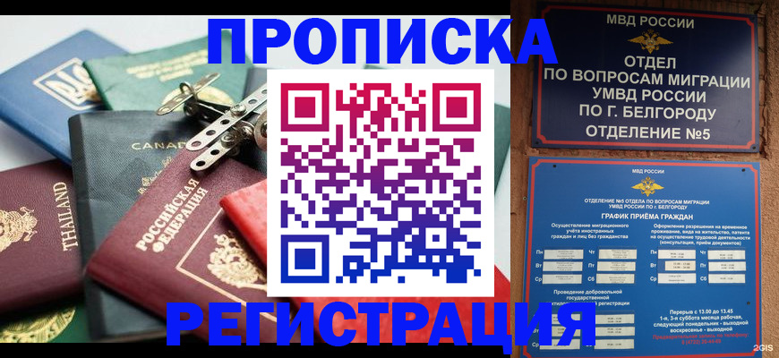 временная регистрация недорого в Пионерском